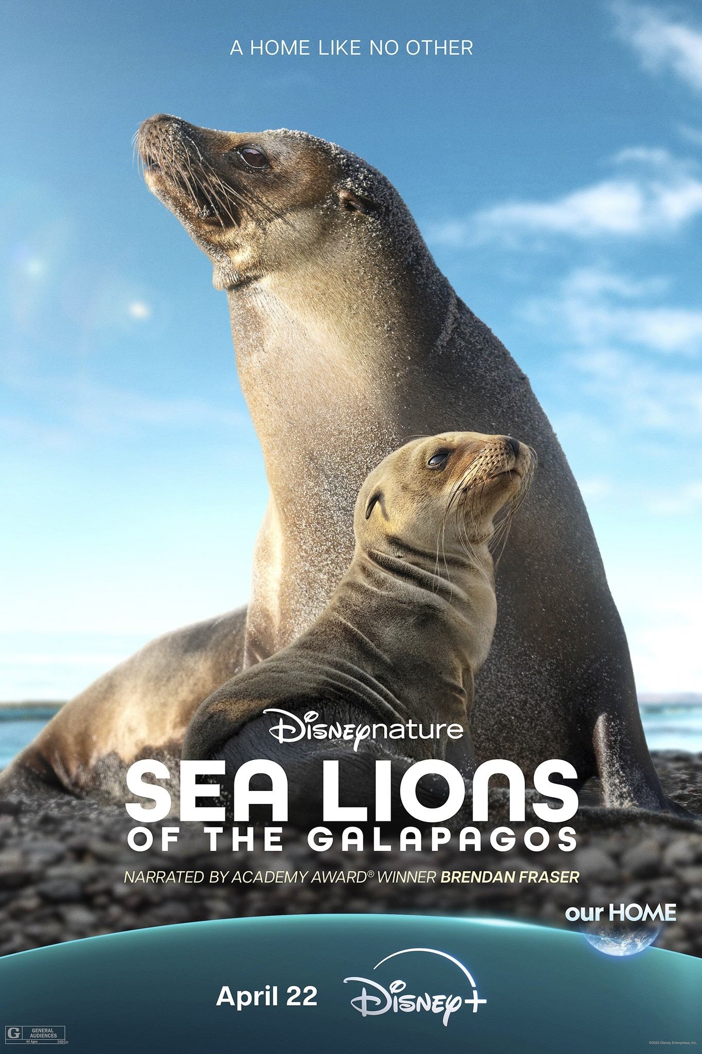 Постер Sea Lions of the Galapagos